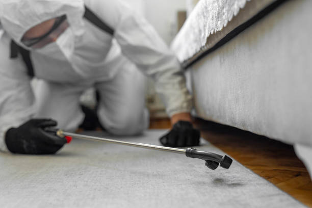 Professional Bed Bug Control technician working in Mason, TN